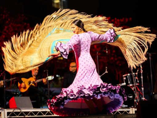 Jesús Muñoz Flamenco